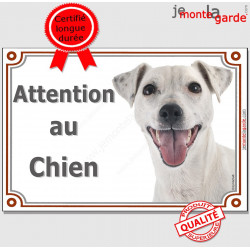  Jack Russell Terrier entièrement blanc Tête, plaque portail 'Attention au Chien" pancarte panneau affiche photo