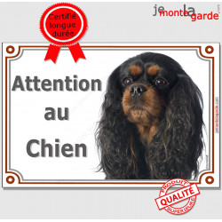 Cavalier King Charles noir et feu, plaque portail "Attention au Chien" pancarte panneau photo affiche