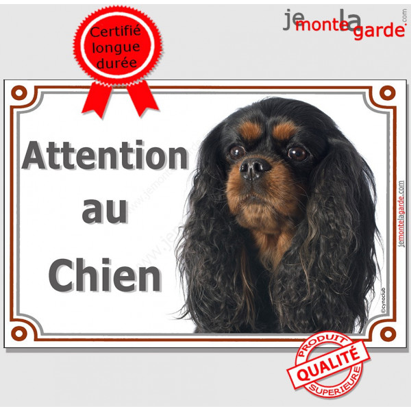 Cavalier King Charles noir et feu, plaque portail "Attention au Chien" pancarte panneau photo affiche