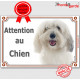 Coton de Tuléar avec une tâche à l'oreille, Plaque portail Attention au Chien, panneau affiche pancarte photo