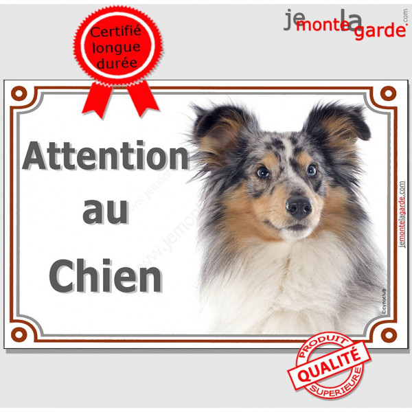 Bergers des Shetlands Merle Tête, Plaque portail Attention au Chien, panneau affiche pancarte photo race