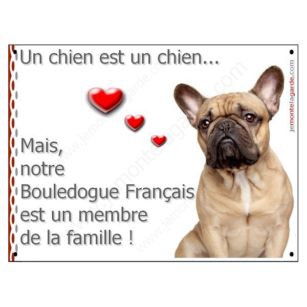Bouledogue Français Fauve, plaque photo "Membre de la Famille" panneau idée cadeau love coeurs