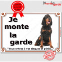 Setter Gordon assis, plaque "Je Monte la Garde" 24 cm LUX C