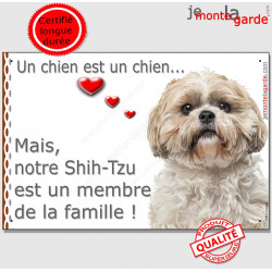 Shih-Tzu fauve beige blanc Tête, plaque "Membre de la Famille" intérieur extérieur panneau pancarte affiche photo