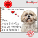 Shih-Tzu fauve, plaque "Membre de la Famille" 24 cm LOV