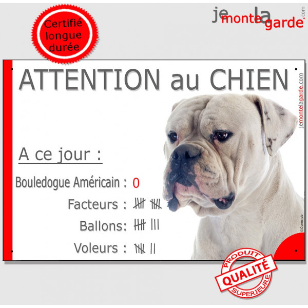 Bouledogue Américain Blanc, plaque portail humour "Attention au chien, Nombre de Voleurs, ballons, facteurs" photo, résiste plui Bouledogue Américain Blanc, plaque portail humour "Attention au chien, Nombre de Voleurs, ballons, facteurs" photo, résiste plui