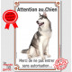 Husky Gris Assis, Plaque Portail "Attention au Chien, interdit sans autorisation" affiche panneau, pancarte photo