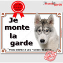 Husky Gris, plaque portail "Je Monte la Garde" 2 tailles LUX D