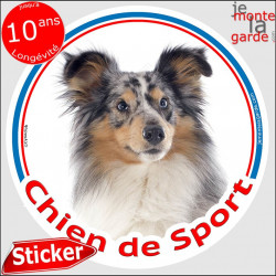 Sticker rond "Chien de Sport" 15 cm, Berger Shetland bleu merle Tête, intérieur Extérieur sheltie Adhésif agility club photo