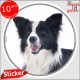 Border Collie noir et blanc à poils longs, sticker autocollant rond "photo" intérieur ou Extérieur, adhésif voiture chien