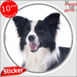 Border Collie noir et blanc à poils longs, sticker autocollant rond "photo" intérieur/Extérieur, adhésif voiture chien