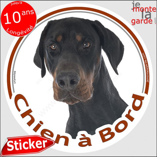 Doberman Tête, sticker autocollant rond "Chien à Bord" Disque adhésif vitre voiture chien photo