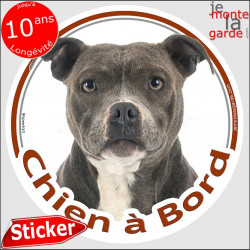 Amstaff brun, sticker "Chien à Bord" 14 cm