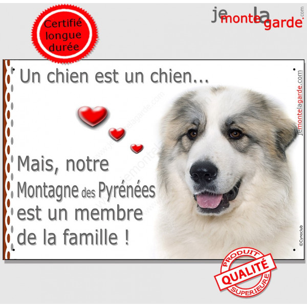 Montagne des Pyrénées Tête, plaque photo "Un chien est Membre de la Famille" 24 cm dedans ou dehors pancarte panneau affiche