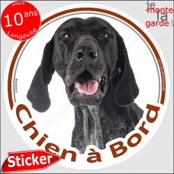 Braque Allemand noir, sticker autocollant rond "Chien à Bord" disque adhésif vitre voiture, chien auto photo