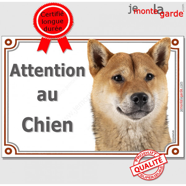 Shiba Inu fauve Tête, plaque portail "Attention au Chien" pancarte panneau orange marron photo