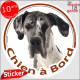 Dogue Allemand Arlequin, sticker autocollant rond "Chien à Bord" Disque adhésif photo Danois bleu race