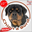 Rottweiler, sticker autocollant "Chien à Bord" 14 cm