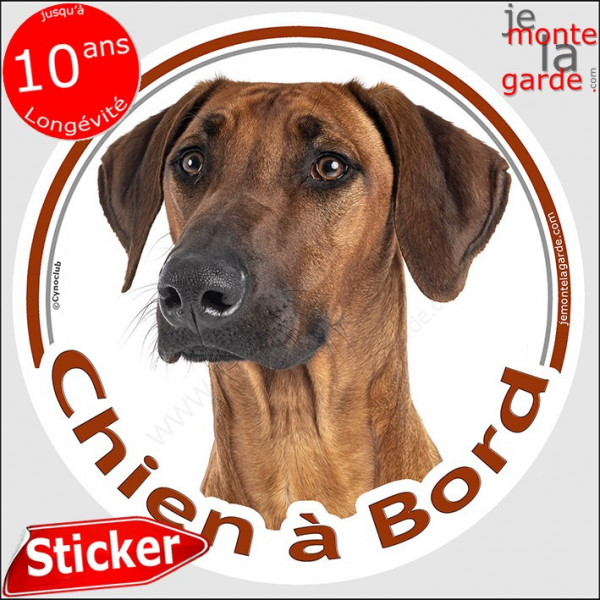 Rhodesian Ridgeback, sticker autocollant rond "Chien à Bord" pour vitre voiture, adhésif photo race