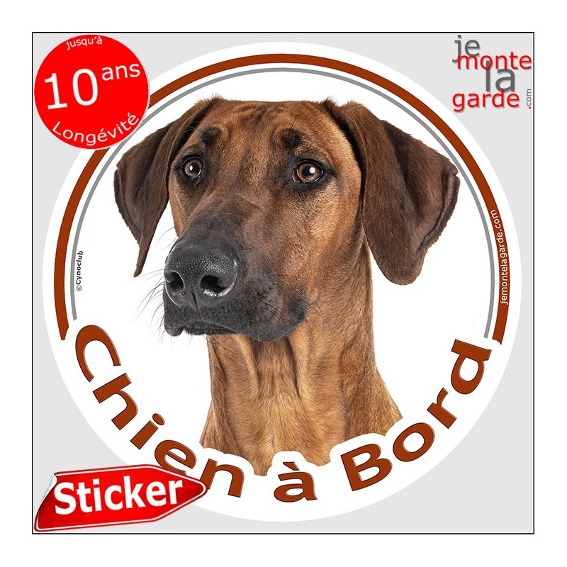 Rhodesian Ridgeback, sticker autocollant rond "Chien à Bord" pour vitre voiture, adhésif photo race