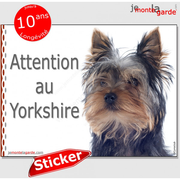 Yorkshire Terrier, Panneau sticker autocollant "Attention au Chien", Photo York pancarte plaque adhésif affiche