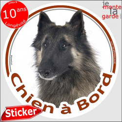 Tervuren, sticker autocollant "Chien à Bord" 14 cm