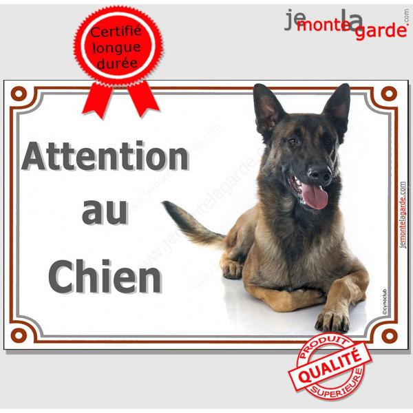 Berger Belge Malinois couché, pancarte portail "Attention au Chien", panneau photo race, plaque affiche