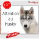 Husky Sibérien blanc gris, Panneau sticker autocollant "Attention au Chien", Photo pancarte plaque adhésif affiche yeux bleus