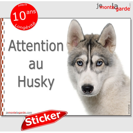 Husky, autocollant "Attention au Chien" 16 x 12 cm Husky, autocollant "Attention au Chien" 16 x 12 cm