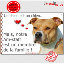 Amstaff Tête, plaque "Membre de la Famille" 24 cm LOVE