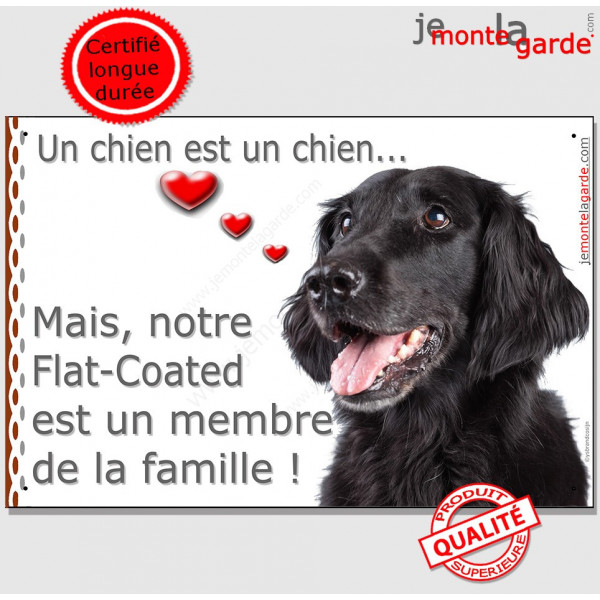 Flat Coated Retriever, Plaque Portail "un chien est un membre de la famille" pancarte, affiche panneau retriver photo