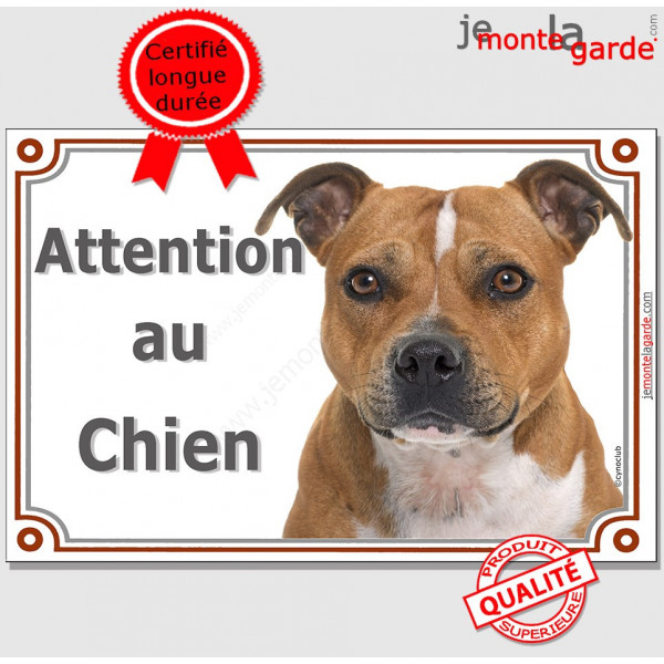 Staffie Fauve lisse blanche, plaque portail "Attention au Chien" pancarte panneau staffy marron photo