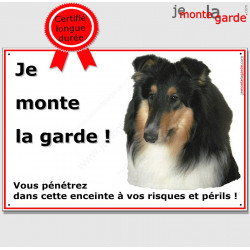 Colley Tricolore Tête, Plaque Portail "Je Monte La Garde, risques périls" pancarte affiche panneau photo