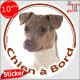 Terrier Brésilien tricolore, sticker autocollant rond "Chien à Bord" disque adhésif voiture photo