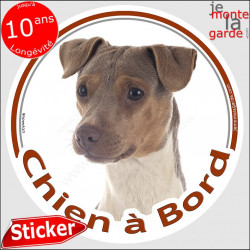 Terrier Brésilien tricolore, sticker autocollant rond "Chien à Bord" disque adhésif voiture photo