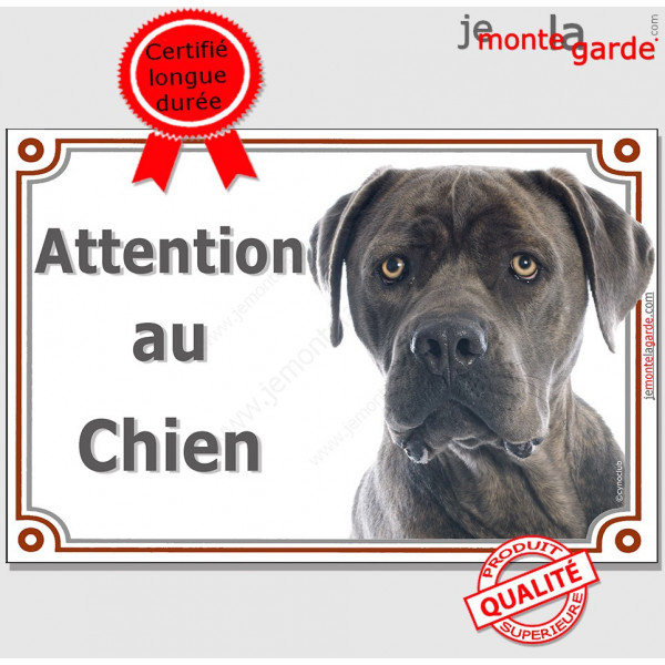 Cane Corso gris, pancarte portail "Attention au Chien" Plaque photo race, Panneau Italiano bleu affiche