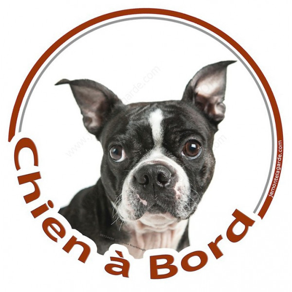 Boston Terrier noir et blanc , sticker autocollant rond "Chien à Bord" Disque adhésif voiture photo