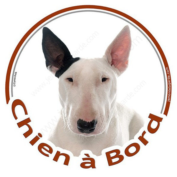 Bull Terrier blanc oreille noire Tête, sticker autocollant rond "Chien à Bord" Disque photo adhésif vitre voiture, chien auto