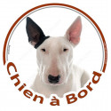 Bull Terrier blanc, sticker rond "Chien à Bord" 15 cm - 3 ans
