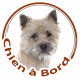 Cairn Terrier Tête, sticker autocollant rond "Chien à Bord" Disque photo adhésif vitre voiture