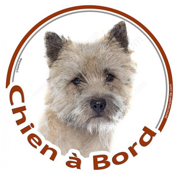 Cairn Terrier Tête, sticker autocollant rond "Chien à Bord" Disque photo adhésif vitre voiture