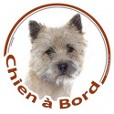 Cairn Terrier, sticker voiture "Chien à Bord" 15 cm - 3 ans
