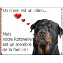 Plaque 2 Tailles LOVE Membre de la Famille, Rottweiler tête