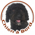 Sticker rond "Chien à Bord" 15 cm, Chien d'Eau Espagnol noir Tête