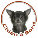 Chihuahua, sticker rond "Chien à Bord" 15 cm - 3 ans