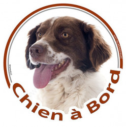 Sticker autocollant rond "Chien à Bord" 15 cm, Epagneul Breton marron brun foie Tête, adhésif vitre voiture marron