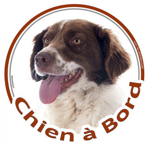 Sticker autocollant rond "Chien à Bord" 15 cm, Epagneul Breton marron brun foie Tête, adhésif vitre voiture marron