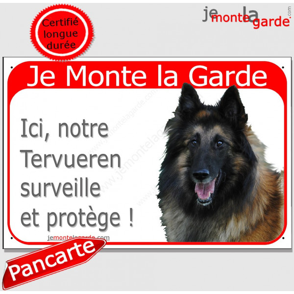 Berger Belge Tervueren tête, Pancarte Portail rouge "Je Monte la Garde, surveille et protège" affiche panneau plaque photo