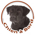 Labrador noir, sticker "Chien à Bord" 15 cm - 3 ans