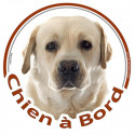 Labrador, sticker voiture "Chien à Bord" 15 cm - 3 ans